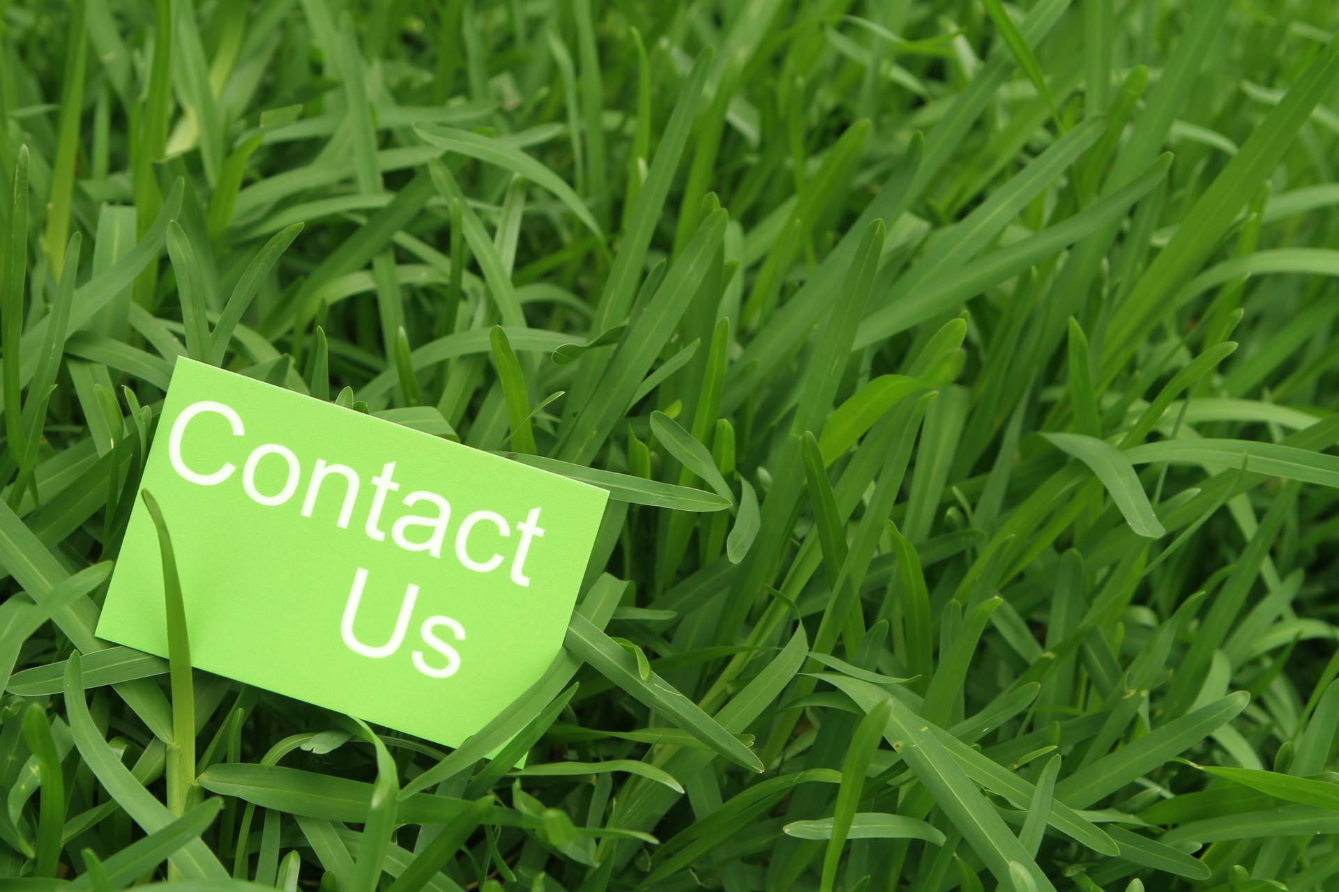 Contact Us on Business Card in grass
